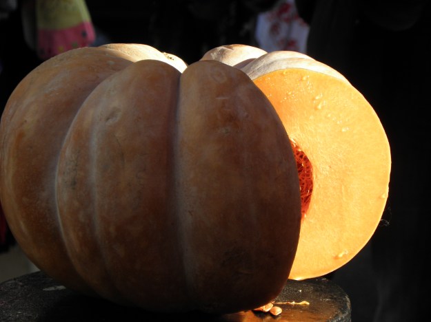 Pumpkin in Portabello Road Market