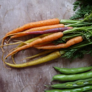 Heritage carrots