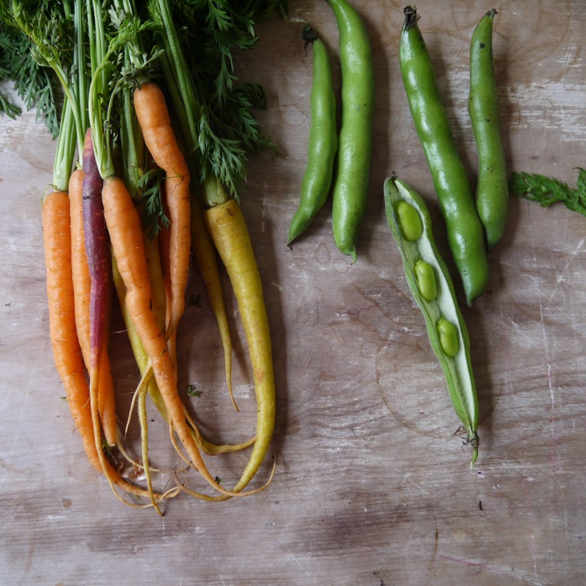 Heritage carrots and broad beans
